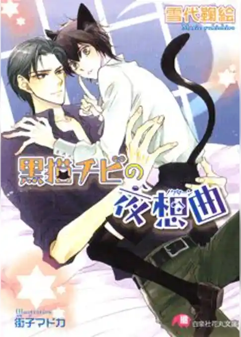 黒猫チビの夜想曲