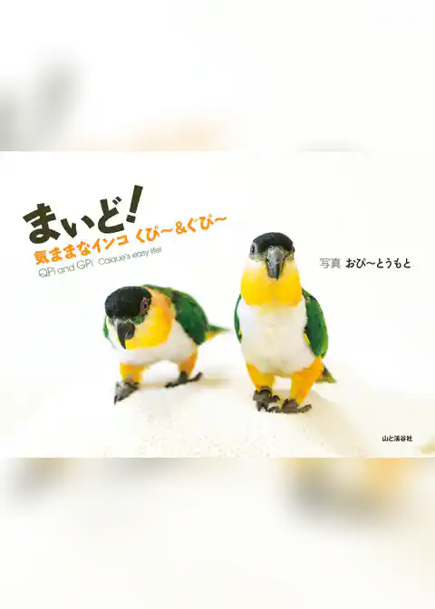 まいど！気ままなインコ くぴ～＆ぐぴ～