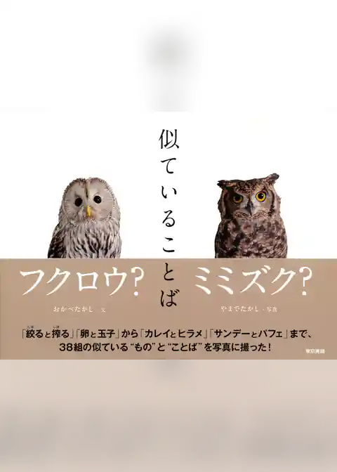 似ていることば