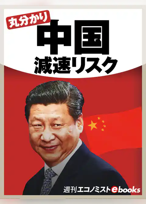 丸分かり中国減速リスク