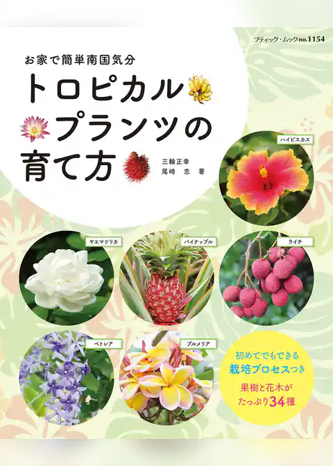 トロピカルプランツの育て方