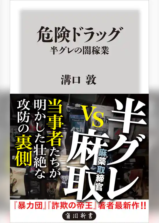 危険ドラッグ　半グレの闇稼業
