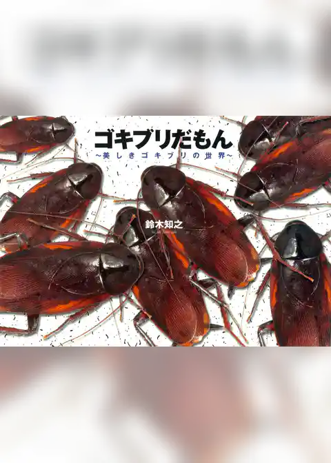 ゴキブリだもん～美しきゴキブリの世界～