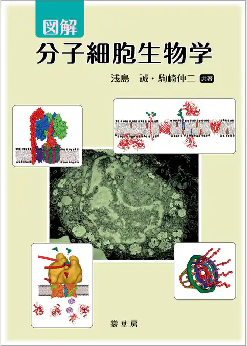 図解 分子細胞生物学