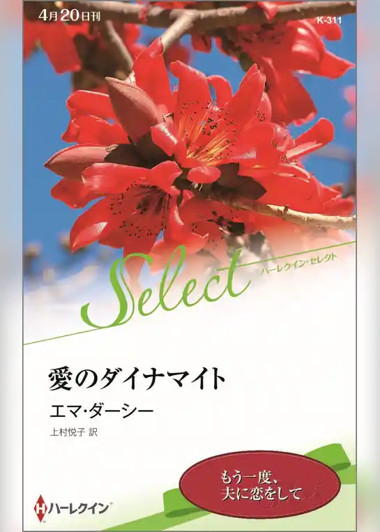 愛のダイナマイト