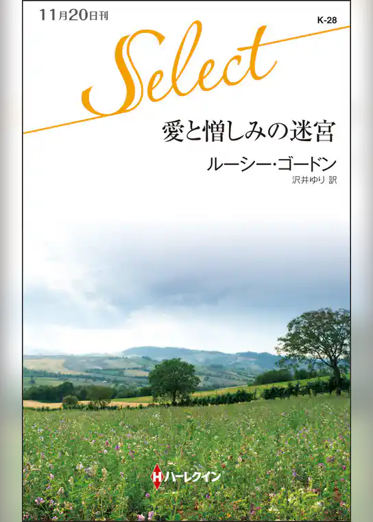 愛と憎しみの迷宮