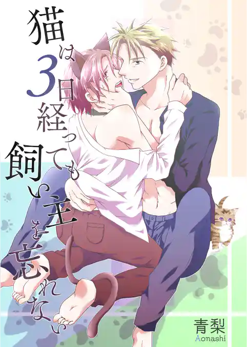 猫は3日経っても飼い主を忘れない