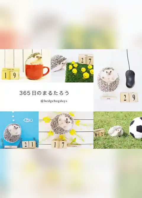 ３６５日のまるたろう