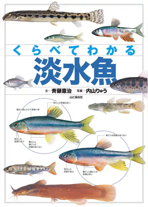 くらべてわかる 淡水魚