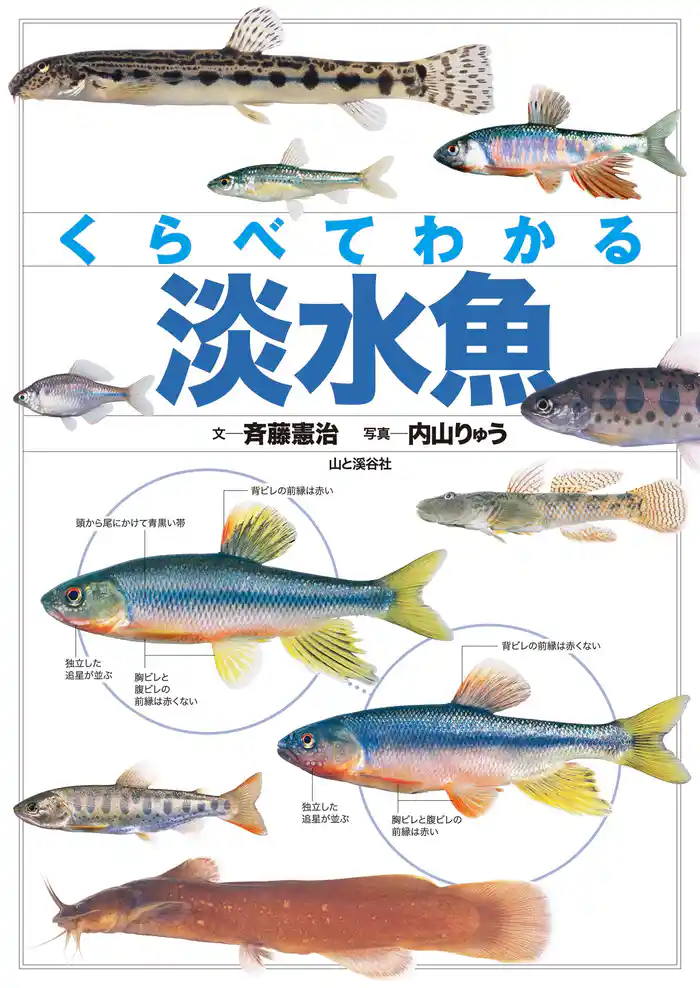 くらべてわかる 淡水魚