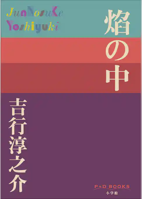 P+D BOOKS　焔の中