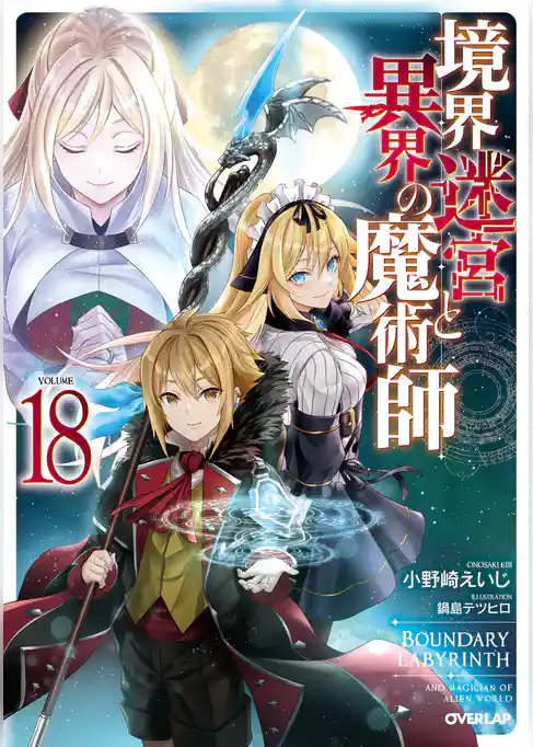 境界迷宮と異界の魔術師