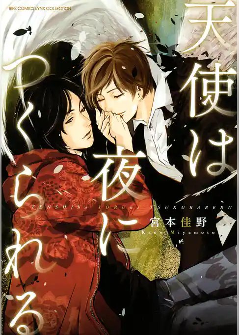 天使は夜につくられる