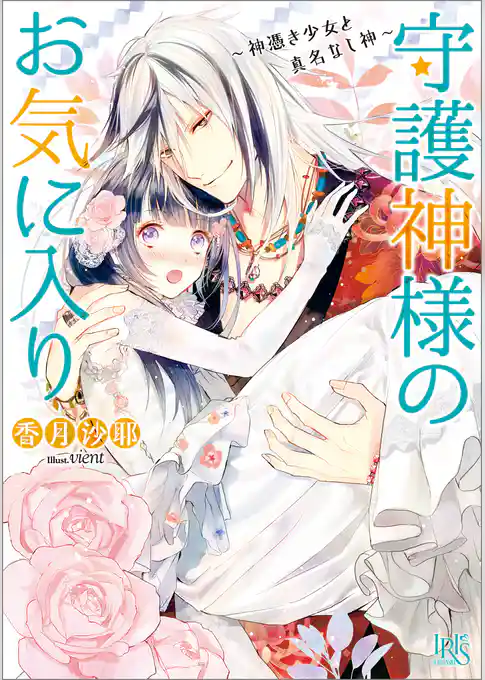 守護神様のお気に入り～神憑き少女と真名なし神～