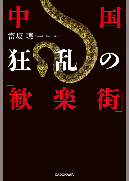 中国　狂乱の「歓楽街」