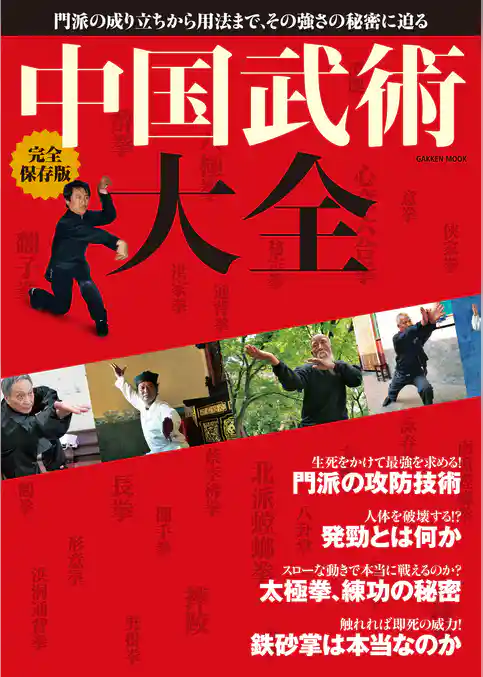 完全保存版　中国武術大全
