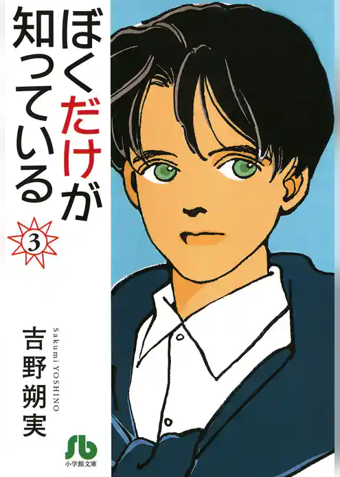 ぼくだけが知っている〔文庫〕