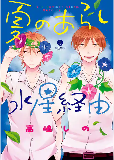 夏のあらし水星経由