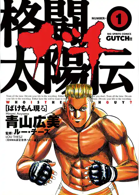 格闘太陽伝ガチ