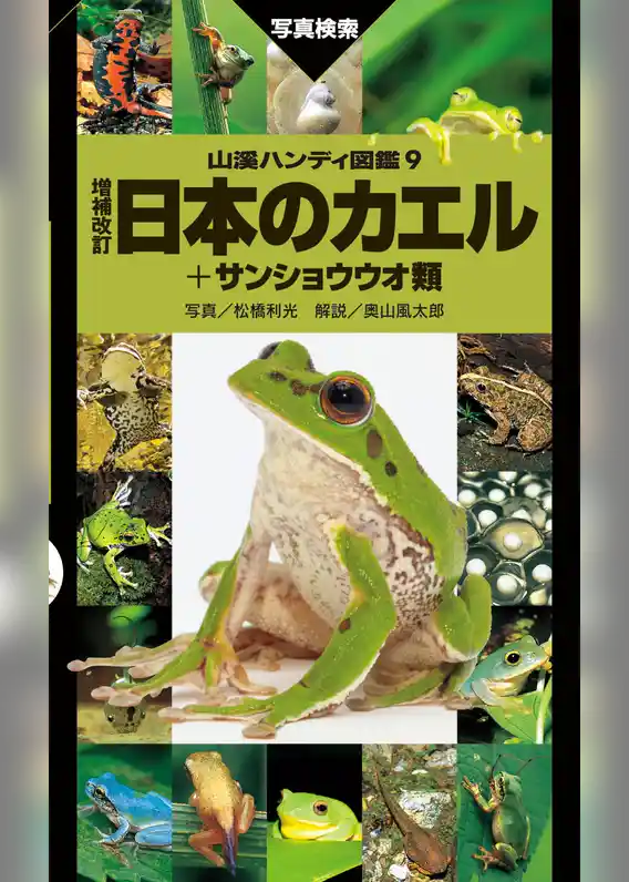日本のカエル＋サンショウウオ類 増補改訂