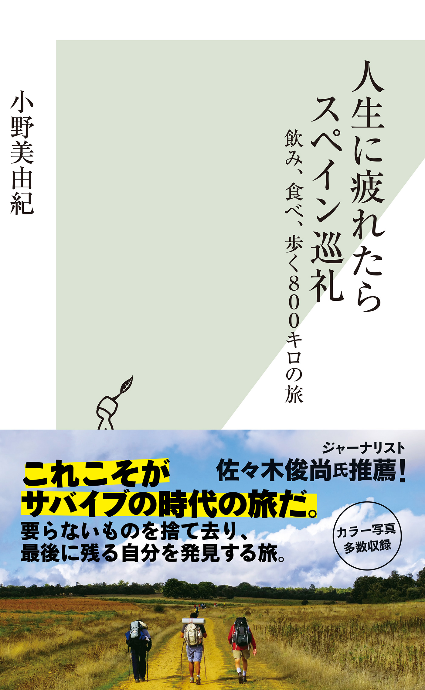 人生に疲れたらスペイン巡礼～飲み、食べ、歩く８００キロの旅～(書籍