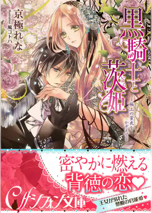 黒騎士と茨姫　～極上の蜜夜をかぞえて～【特典SS・イラスト付き完全版】