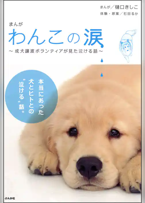 まんが　わんこの涙～成犬譲渡ボランティアが見た泣ける話～