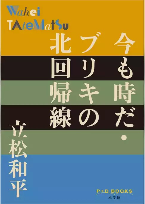 P+D BOOKS　今も時だ・ブリキの北回帰線