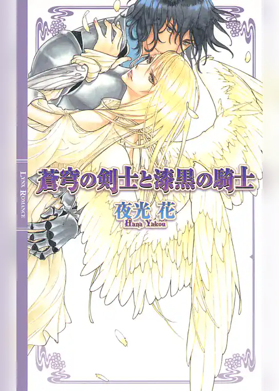 蒼穹の剣士と漆黒の騎士