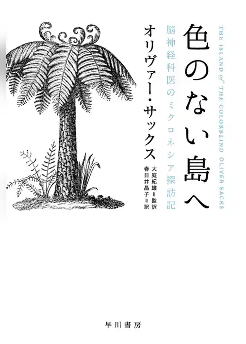 色のない島へ──脳神経科医のミクロネシア探訪記