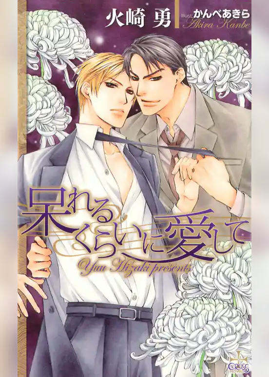 呆れるくらいに愛して【特別版】