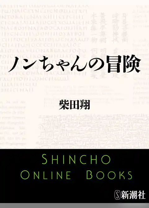 ノンちゃんの冒険