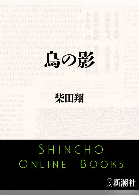 鳥の影
