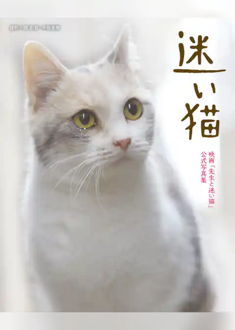 迷い猫