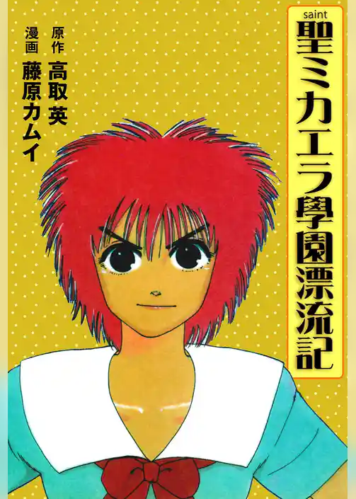 聖ミカエラ學園漂流記