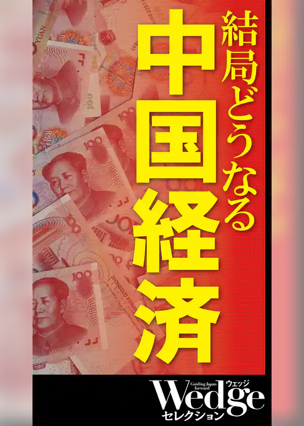 結局どうなる 中国経済 （Wedgeセレクション No.48）