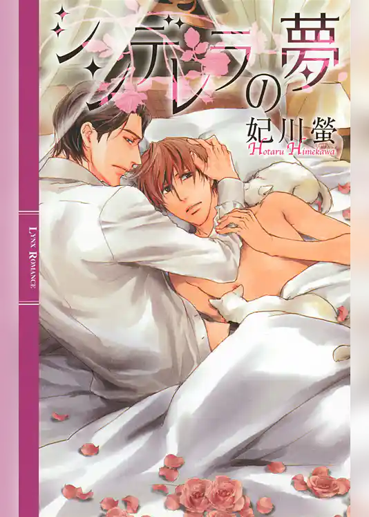 シンデレラの夢