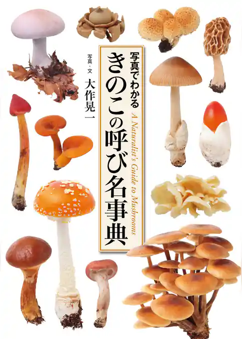 きのこの呼び名事典　写真でわかる
