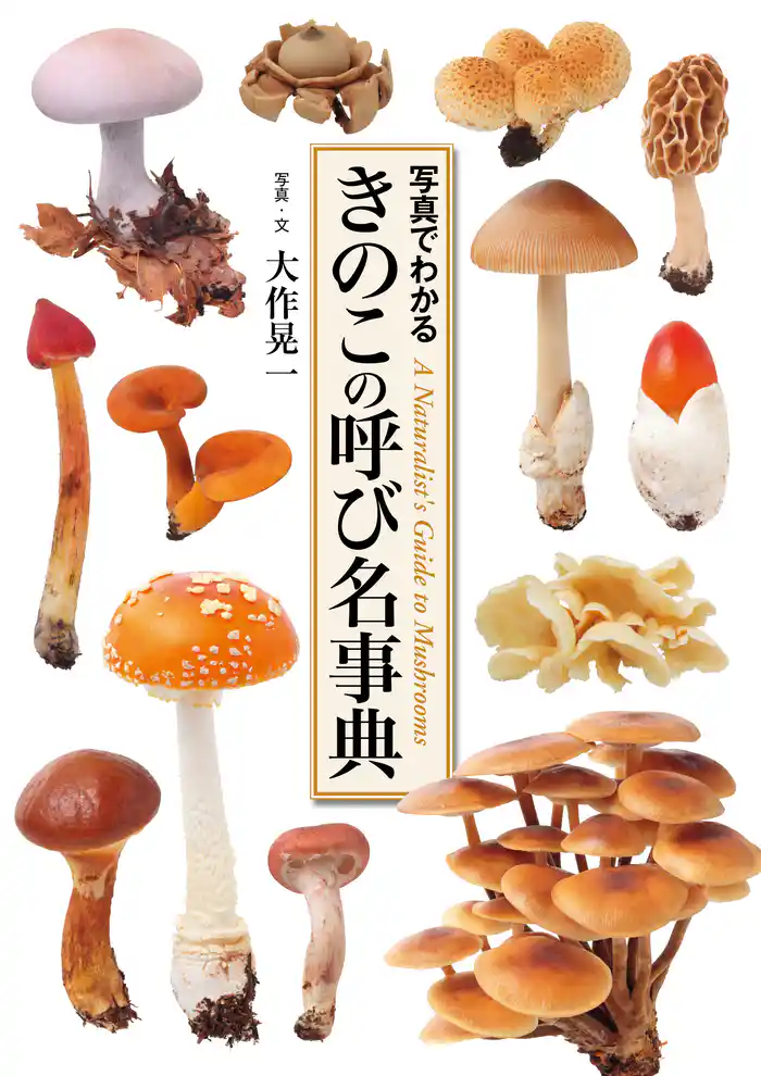 きのこの呼び名事典 写真でわかる