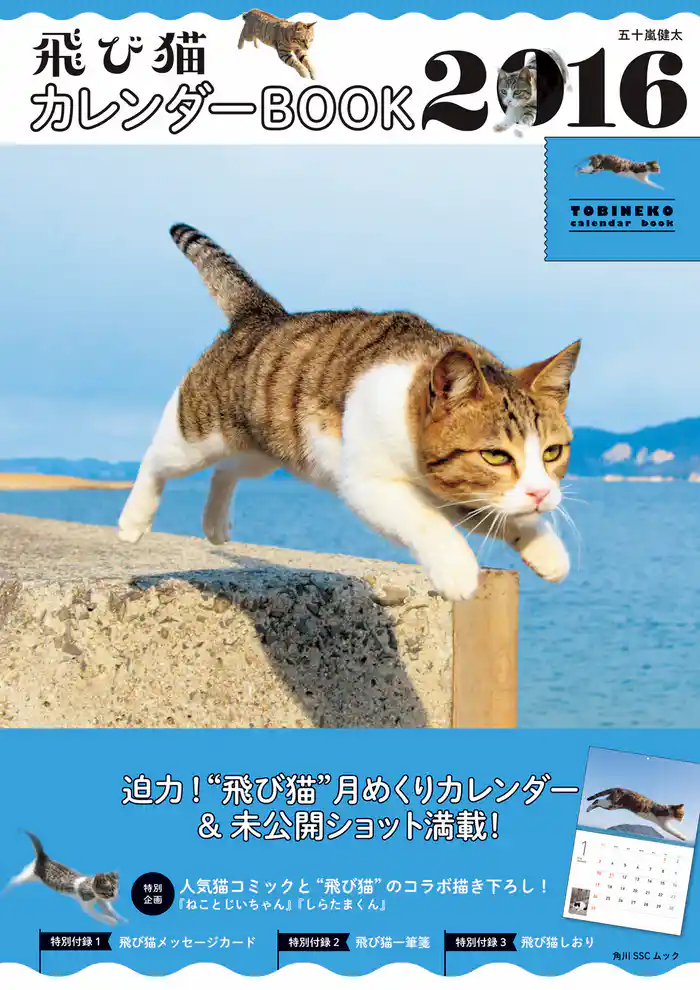 飛び猫 カレンダーBOOK 2016