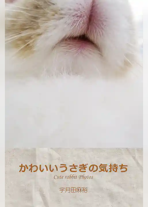 かわいいうさぎの気持ち