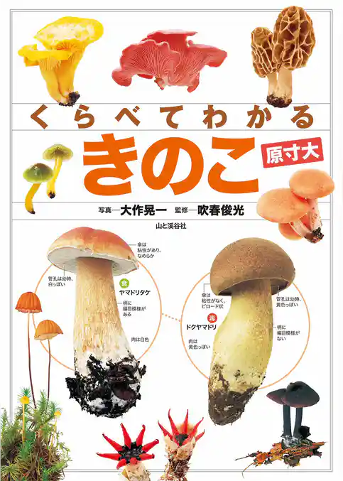 くらべてわかる きのこ (原寸大)