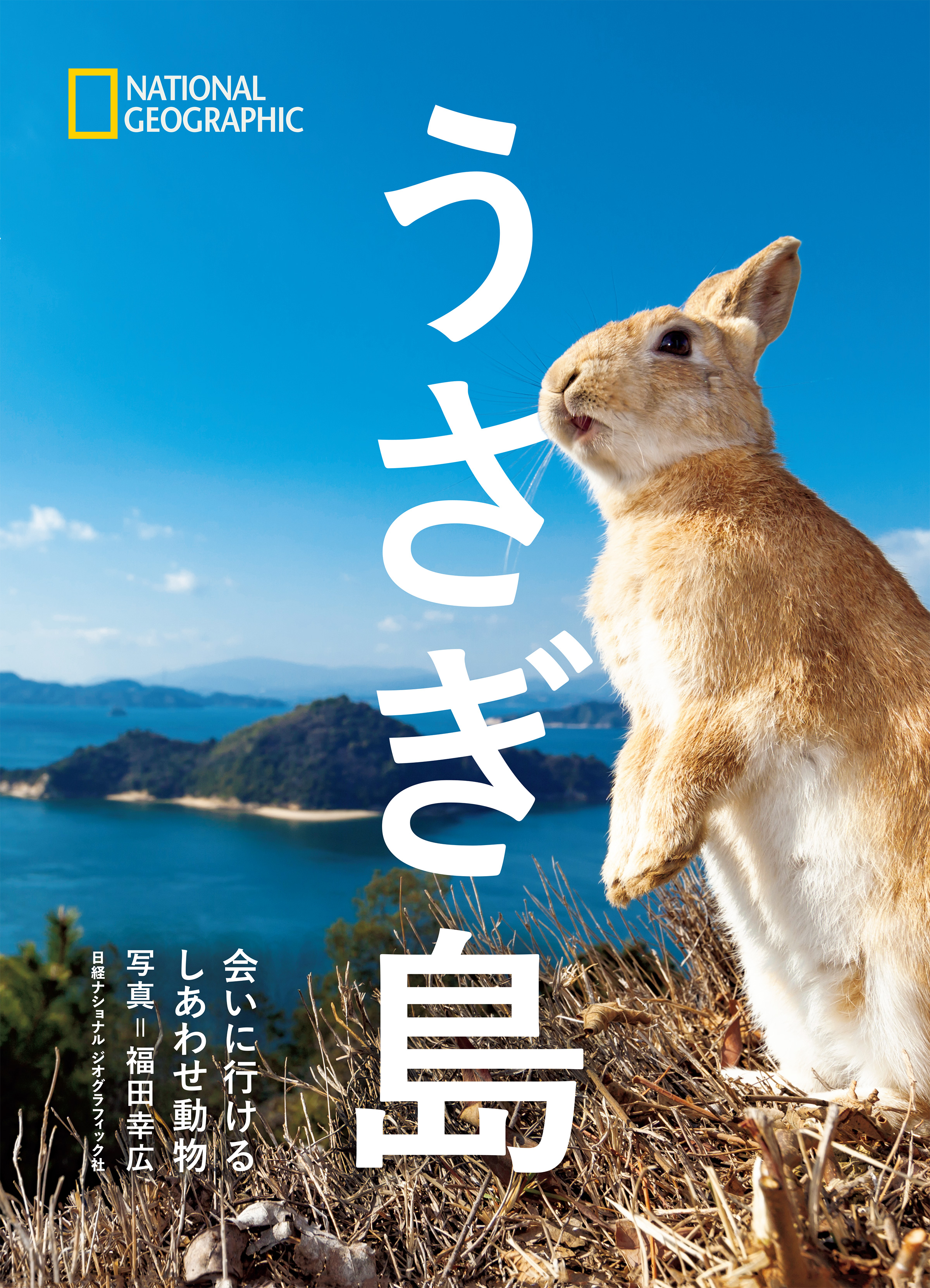 うさぎ島(書籍) - 電子書籍 | U-NEXT 初回600円分無料