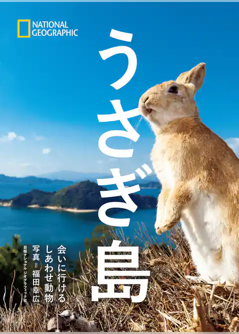 うさぎ島
