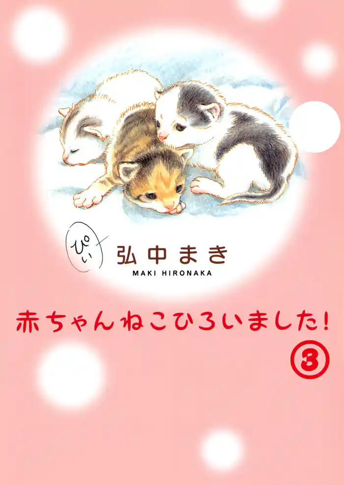 赤ちゃんねこひろいました！その3