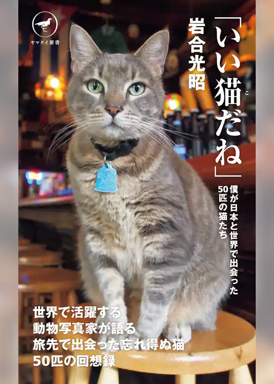 ヤマケイ新書　「いい猫だね」