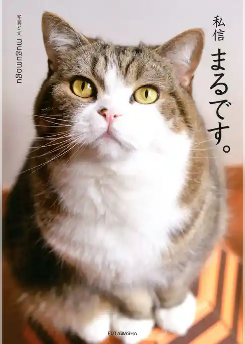 私信 まるです。