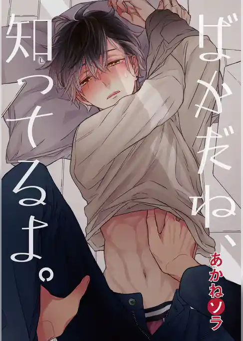 ばかだね、知ってるよ。 【短編】