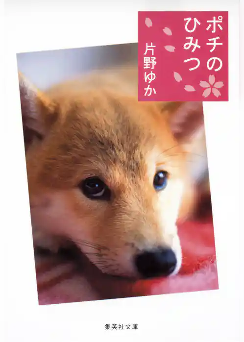 【カラー版】ポチのひみつ