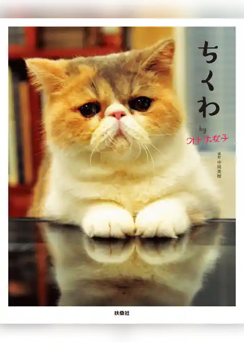 ちくわ　ｂｙ　オトナ女子